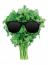 corianderjuice's Avatar